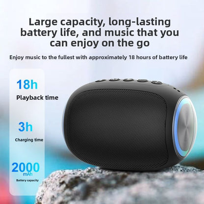 Wireless Bluetooth Speaker with Subwoofer